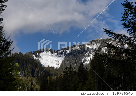 Snowy Alpine Mountain Ridge Framed by Dark Evergreen Forest Snowy Alpine Mountain Ridge Framed by Dark Evergreen Forest 139756549
