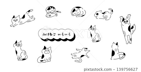 Various Calico Cats | Monotone Various Calico Cats | Monotone 139756627