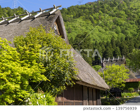 美山村,茅草屋頂,綠意盎然,生氣勃勃。 美山村,茅草屋頂,綠意盎然,生氣勃勃。 139756939