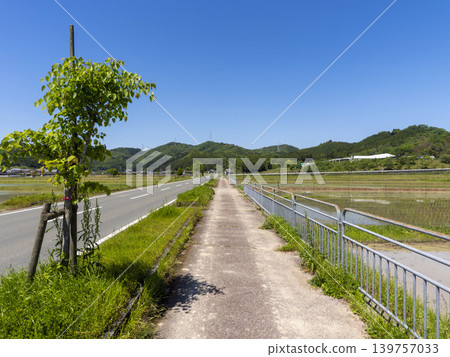 鄉村地區公路的景色 鄉村地區公路的景色 139757033