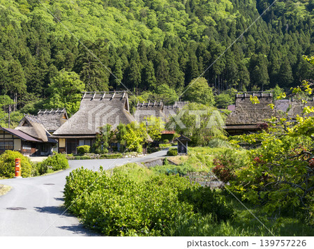 The vibrant green of Miyama thatched village in spring 139757226
