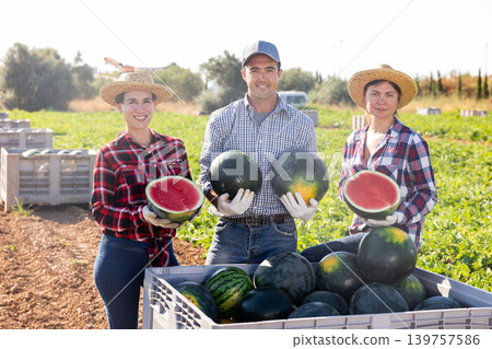 Portrait of farm workers posing at agricultural field with crate full of watermelons Portrait of farm workers posing at agricultural field with crate full of watermelons 139757586
