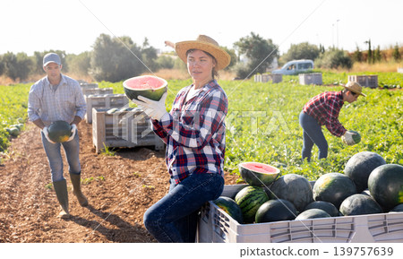 Young woman picking fresh watermelons on field Young woman picking fresh watermelons on field 139757639
