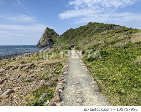 A walking path along the basalt coast leading to the cape A walking path along the basalt coast leading to the cape 139757956
