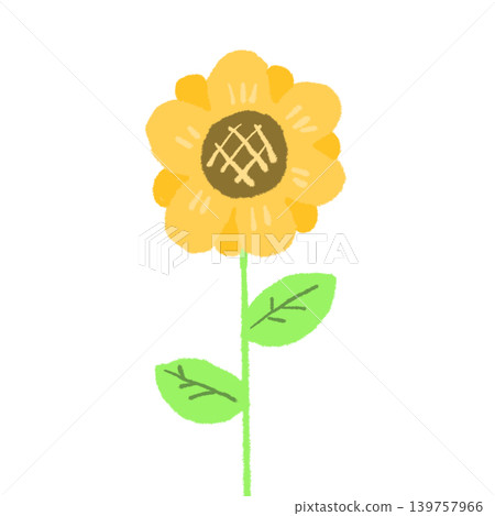 向日葵 向日葵 139757966
