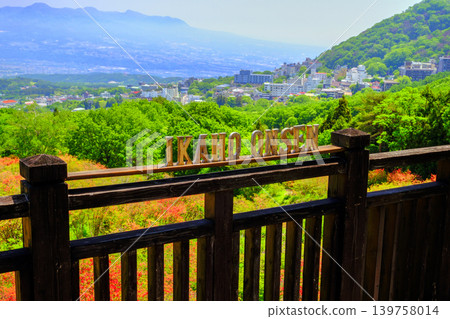 spring, tender green, verdure 139758014