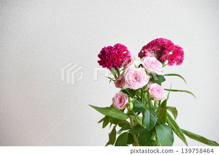 玫瑰和雞冠花 139758464