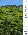 The mountainside is covered in vibrant, beautiful new greenery under a clear blue sky (Ino Town, Agawa District, Kochi Prefecture) 139758997