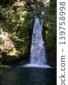 The fantastical Niko-buchi waterfall (Kochi Prefecture) cascades down moss-covered rock faces. 139758998