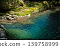 The beautiful shores of Niko-buchi, where the vibrant blue water and green moss intertwine. 139758999