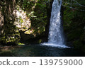 The fantastical Niko-buchi waterfall (Kochi Prefecture) cascades down moss-covered rock faces. 139759000