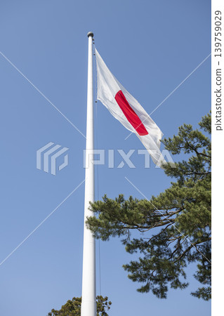 The Japanese flag fluttering under a blue sky, and the Japanese cultural scenery around Izumo Taisha Shrine. 139759029
