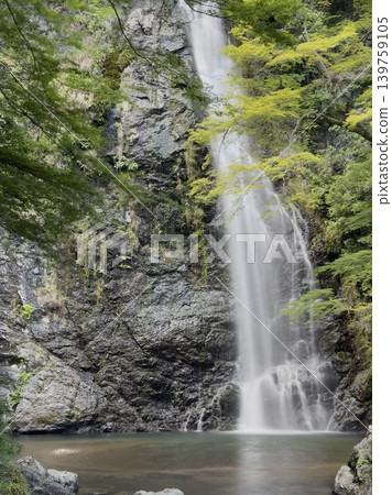 Minoo Great Waterfall, cascading down a rocky cliff, a magnificent waterfall surrounded by lush greenery. Minoo Great Waterfall, cascading down a rocky cliff, a magnificent waterfall surrounded by lush greenery. 139759105