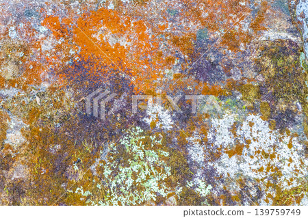 Stone rock texture with green moss and lichen in Brazil. Stone rock texture with green moss and lichen in Brazil. 139759749