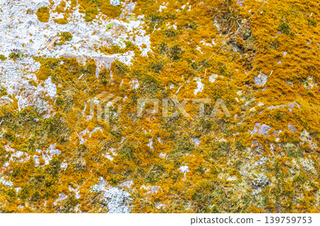 Stone rock texture with green moss and lichen in Brazil. Stone rock texture with green moss and lichen in Brazil. 139759753