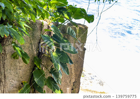 Tropical Urca Red Beach Rocks Water Rio de Janeiro Brazil. Tropical Urca Red Beach Rocks Water Rio de Janeiro Brazil. 139759775