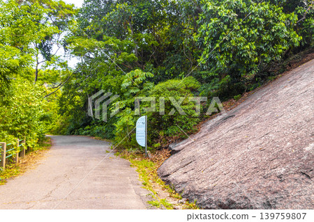Walking path trail rainforest mountains in Rio de Janeiro Brazil. Walking path trail rainforest mountains in Rio de Janeiro Brazil. 139759807