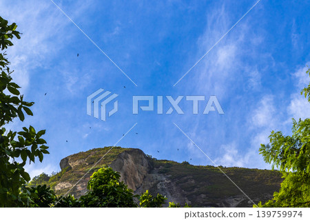Rio de Janeiro Brazil Mountains Hills Rocks and Rainforest Panorama. Rio de Janeiro Brazil Mountains Hills Rocks and Rainforest Panorama. 139759974