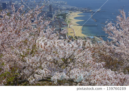 From the observation deck of Sumaura Mountain Park, you can see Suma Beach and the cityscape of Kobe through the cherry blossoms. From the observation deck of Sumaura Mountain Park, you can see Suma Beach and the cityscape of Kobe through the cherry blossoms. 139760289