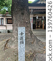 Shingota神社 139760426