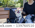 帶著狗旅行，狗被裝在包包裡 139760510
