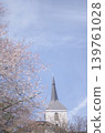 Cherry blossoms in full bloom shining in the blue sky 139761028