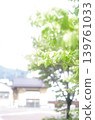 Roadside tree  139761033