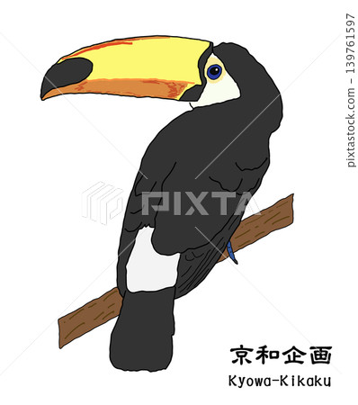 Toucan Toucan 139761597