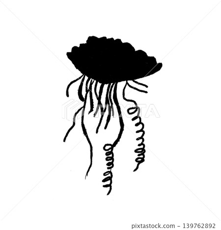 僧帽水母的輪廓插圖:危險生物/海洋警示資料 僧帽水母的輪廓插圖:危險生物/海洋警示資料 139762892