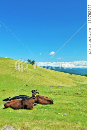 Nagano Prefecture, Utsukushigahara Plateau, blue sky farm scenery 139762965