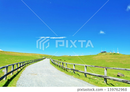 Nagano Prefecture, Utsukushigahara Plateau under the blue sky Nagano Prefecture, Utsukushigahara Plateau under the blue sky 139762968