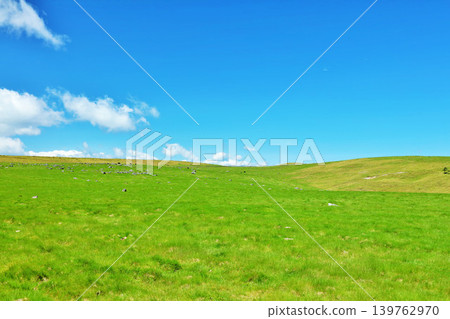 Nagano Prefecture, Utsukushigahara Plateau under the blue sky Nagano Prefecture, Utsukushigahara Plateau under the blue sky 139762970