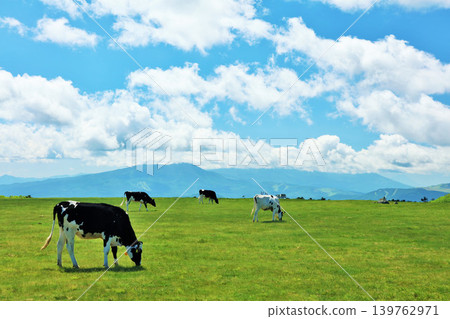 Nagano Prefecture, Utsukushigahara Plateau, blue sky farm scenery Nagano Prefecture, Utsukushigahara Plateau, blue sky farm scenery 139762971