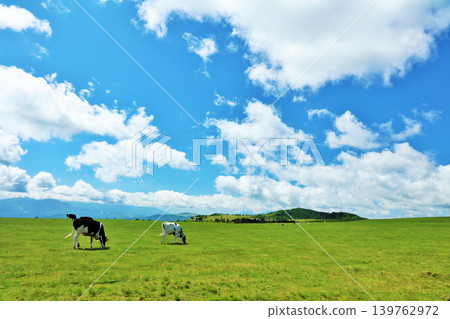 長野縣美原高原藍天農場風景 長野縣美原高原藍天農場風景 139762972