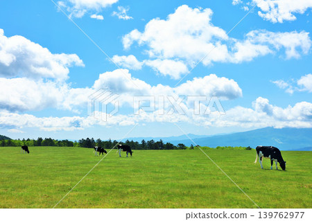 Nagano Prefecture, Utsukushigahara Plateau, blue sky farm scenery Nagano Prefecture, Utsukushigahara Plateau, blue sky farm scenery 139762977