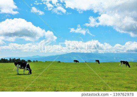 Nagano Prefecture, Utsukushigahara Plateau, blue sky farm scenery Nagano Prefecture, Utsukushigahara Plateau, blue sky farm scenery 139762978