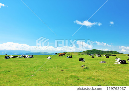 Nagano Prefecture, Utsukushigahara Plateau, blue sky farm scenery 139762987