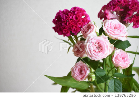 Roses and Celosia Roses and Celosia 139763280