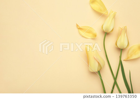 Yellow tulips on a beige background. Space for text Yellow tulips on a beige background. Space for text 139763350