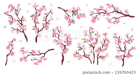 Sakura branches. Cherry blossom twigs, decorative spring botanical elements with pink delicate flowers, japanese plant, flying petals, vibe, almonds, plums for graphic design, tidy vector set 139763423