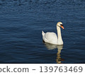 Swan 139763469
