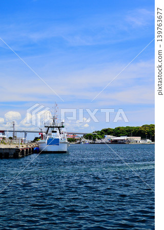Misaki Fishing Port in Miura City: One of Japan's leading tuna fishing bases. Misaki Fishing Port in Miura City: One of Japan's leading tuna fishing bases. 139763677