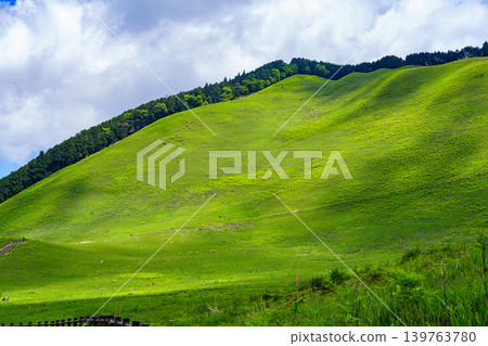 Soni Plateau in early summer: A beautiful gradient of green revealed by the shadows of clouds falling on the mountainside; the mottled shadows on the mountainside (Part 2) 139763780
