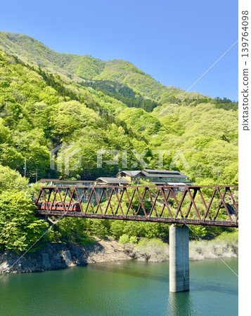 愛津山快線穿過綠意盎然的林蔭道。 139764098