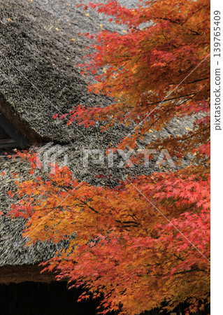 Saiko Iyashi no Sato Nemba Saiko Iyashi no Sato Nemba 139765409