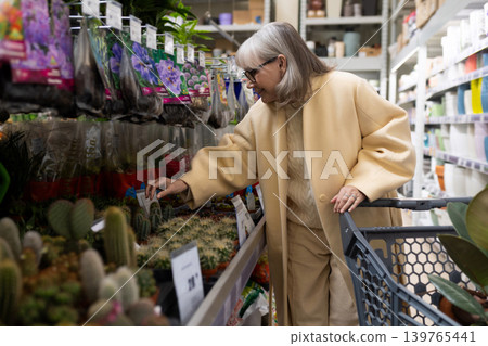 Senior woman choosing small cactuses at a plant nursery, enjoying her hobby Senior woman choosing small cactuses at a plant nursery, enjoying her hobby 139765441