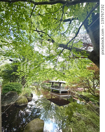 新鮮的綠色公園景觀 新鮮的綠色公園景觀 139767192