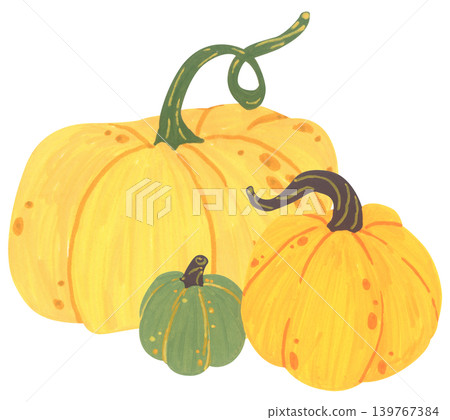 Pumpkin hand drawn illustration, cute autumn thanksgiving harvest collection with squash gourd leaves, cozy farm decor, organic seasonal vegetable card graphic design Pumpkin hand drawn illustration, cute autumn thanksgiving harvest collection with squash gourd leaves, cozy farm decor, organic seasonal vegetable card graphic design 139767384