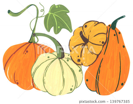Pumpkin hand drawn illustration, cute autumn thanksgiving harvest collection with squash gourd leaves, cozy farm decor, organic seasonal vegetable card graphic design 139767385