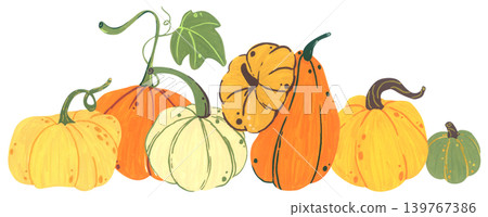 Pumpkin hand drawn illustration, cute autumn thanksgiving harvest collection with squash gourd leaves, cozy farm decor, organic seasonal vegetable card graphic design Pumpkin hand drawn illustration, cute autumn thanksgiving harvest collection with squash gourd leaves, cozy farm decor, organic seasonal vegetable card graphic design 139767386